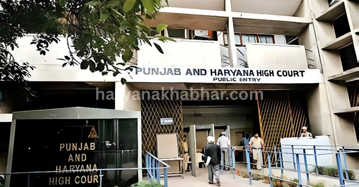 Haryana High Court order